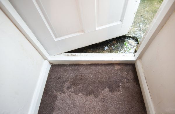 Wet Carpet Restoration in Palmetto
