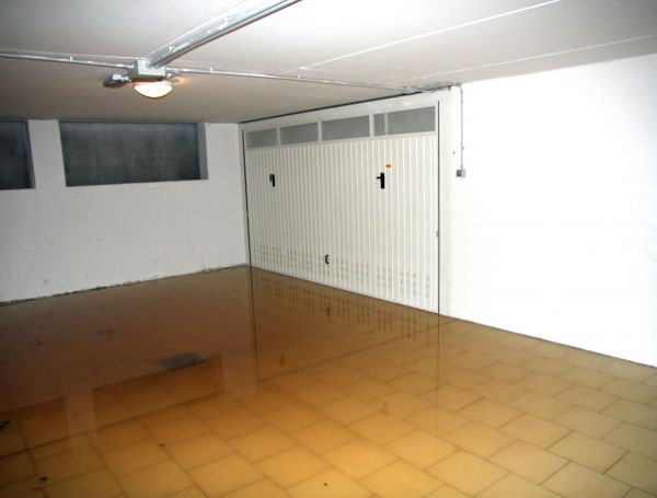 Cost of Storm Recovery Service in Palmetto