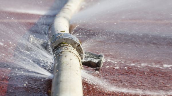 Burst Pipe Cleanup in Palmetto