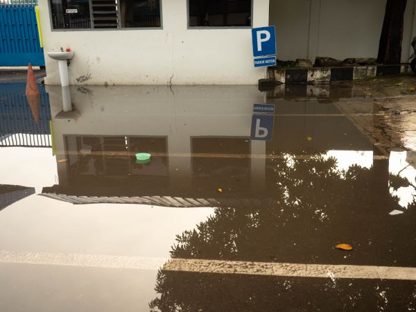 Storm Damage Repair in Palmetto