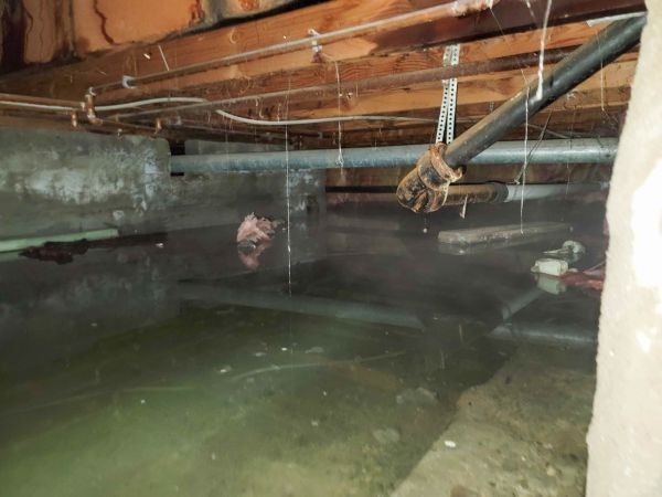 Crawlspace Water Restoration in Palmetto