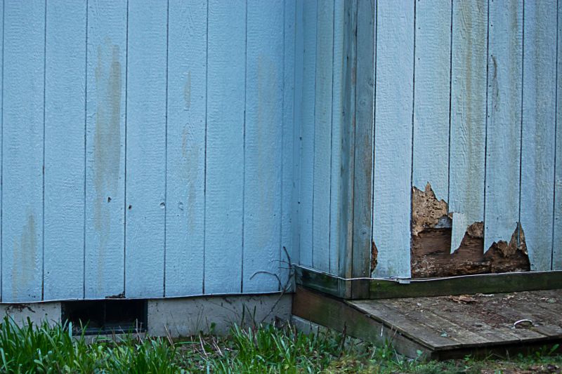 Siding and Exterior Repairs